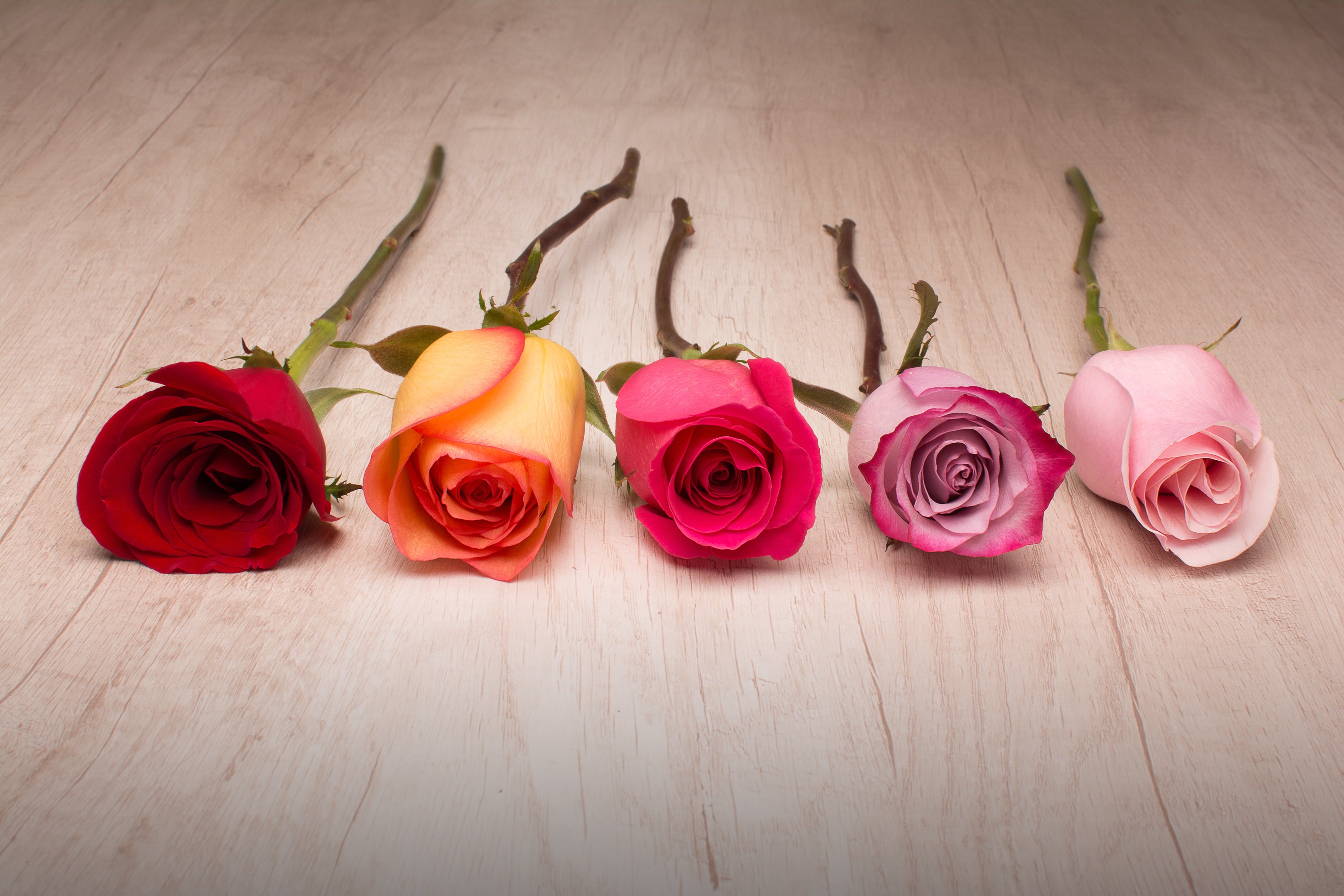 ¿Como alargar el tiempo de vida de mis flores?