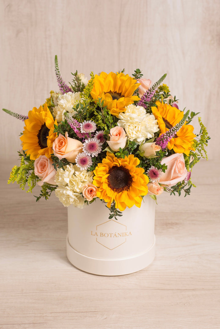 Round Box Nabila