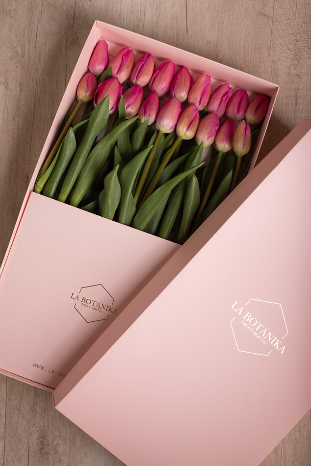 Classic Box 18 Tulipanes