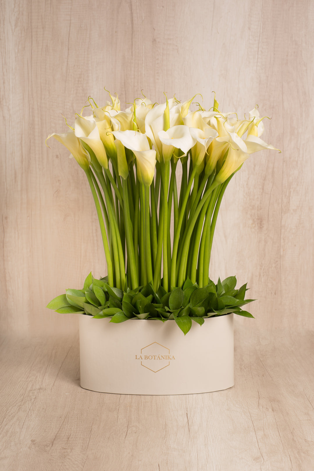 Oval Box Samia