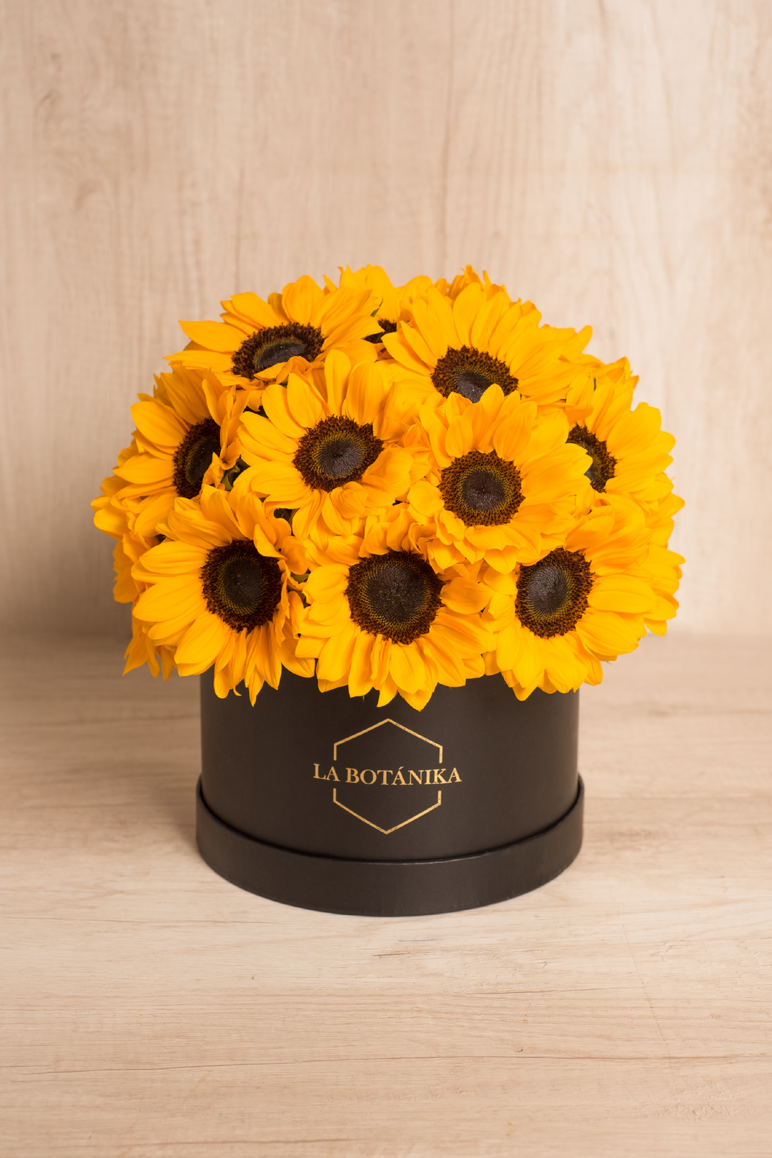 Round Box negra sol