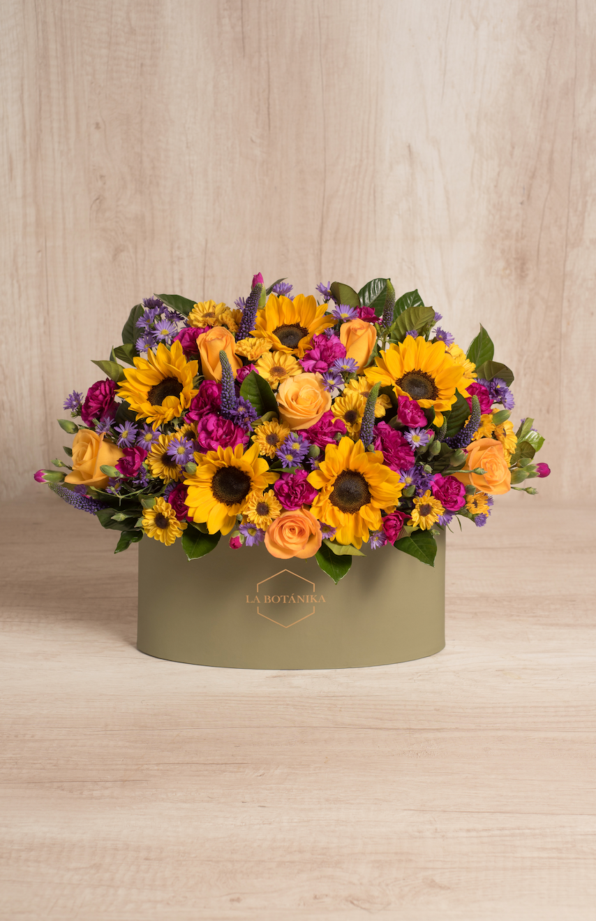 Oval Box Verde Amaia