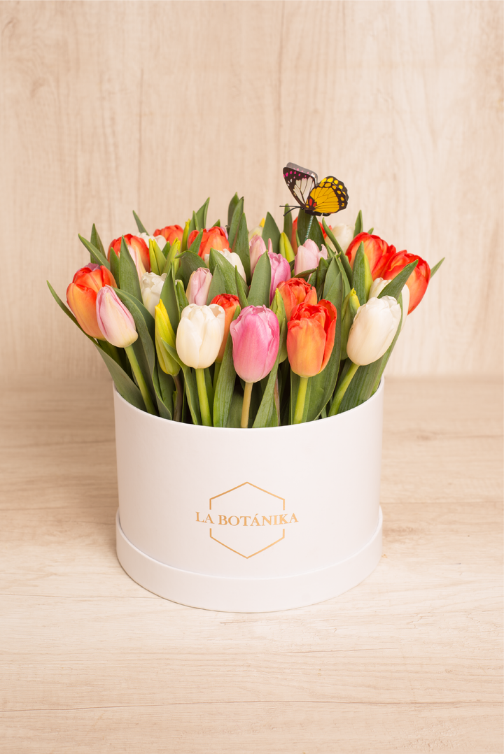 Round Box 40 Tulipanes - sameday