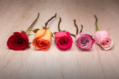 ¿Como alargar el tiempo de vida de mis flores?