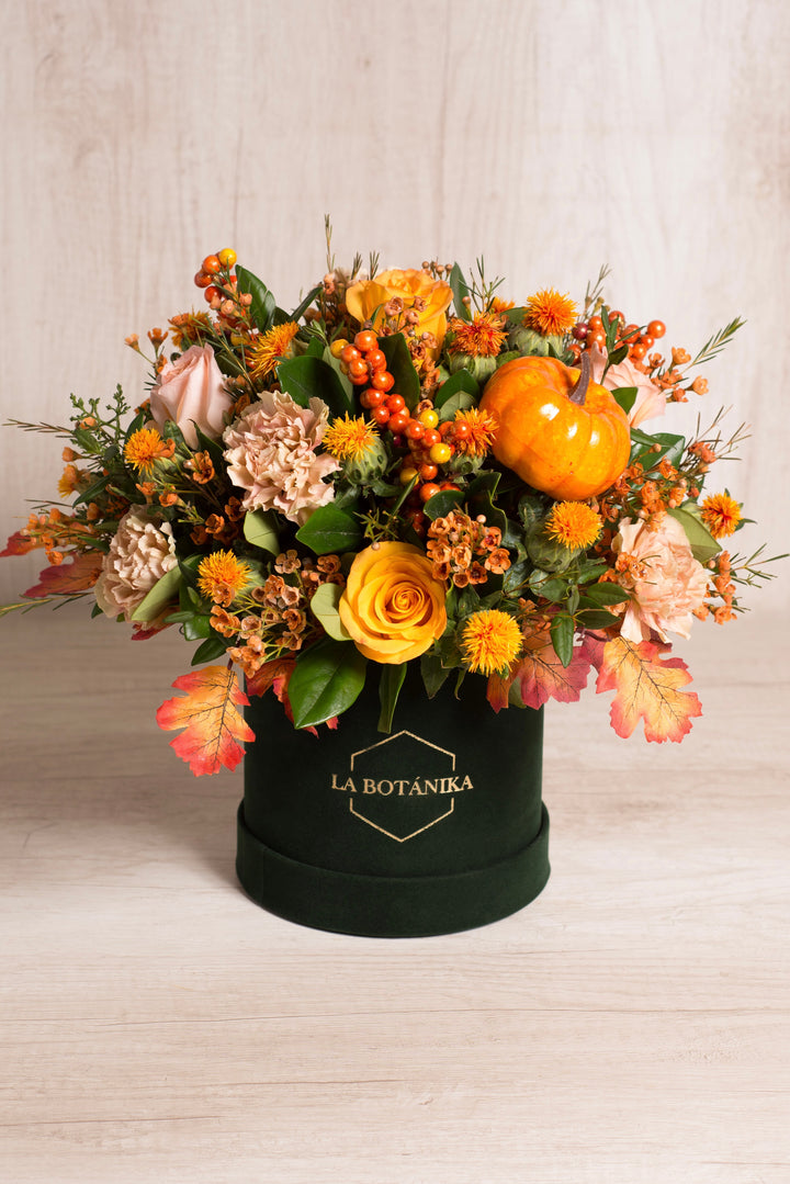 Round Box velvet "Pumpkin garden" - Halloween