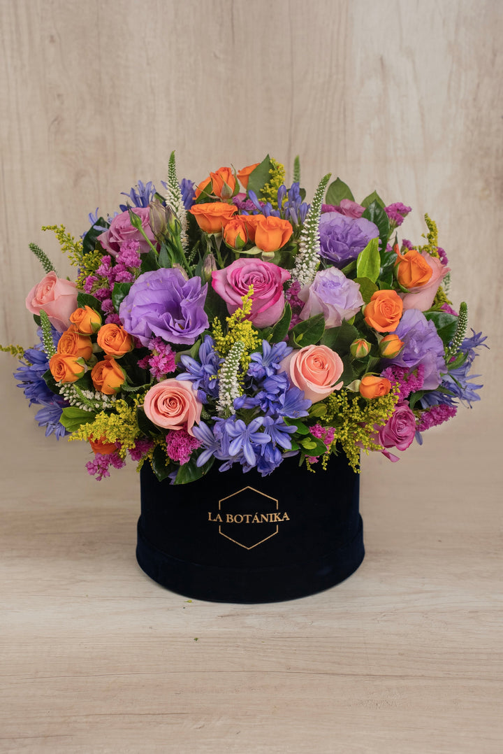 Round Box Velvet Dafne XL - sameday