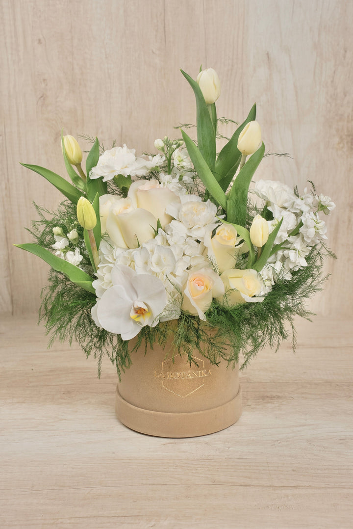 Round Box velvet Danna - Sameday