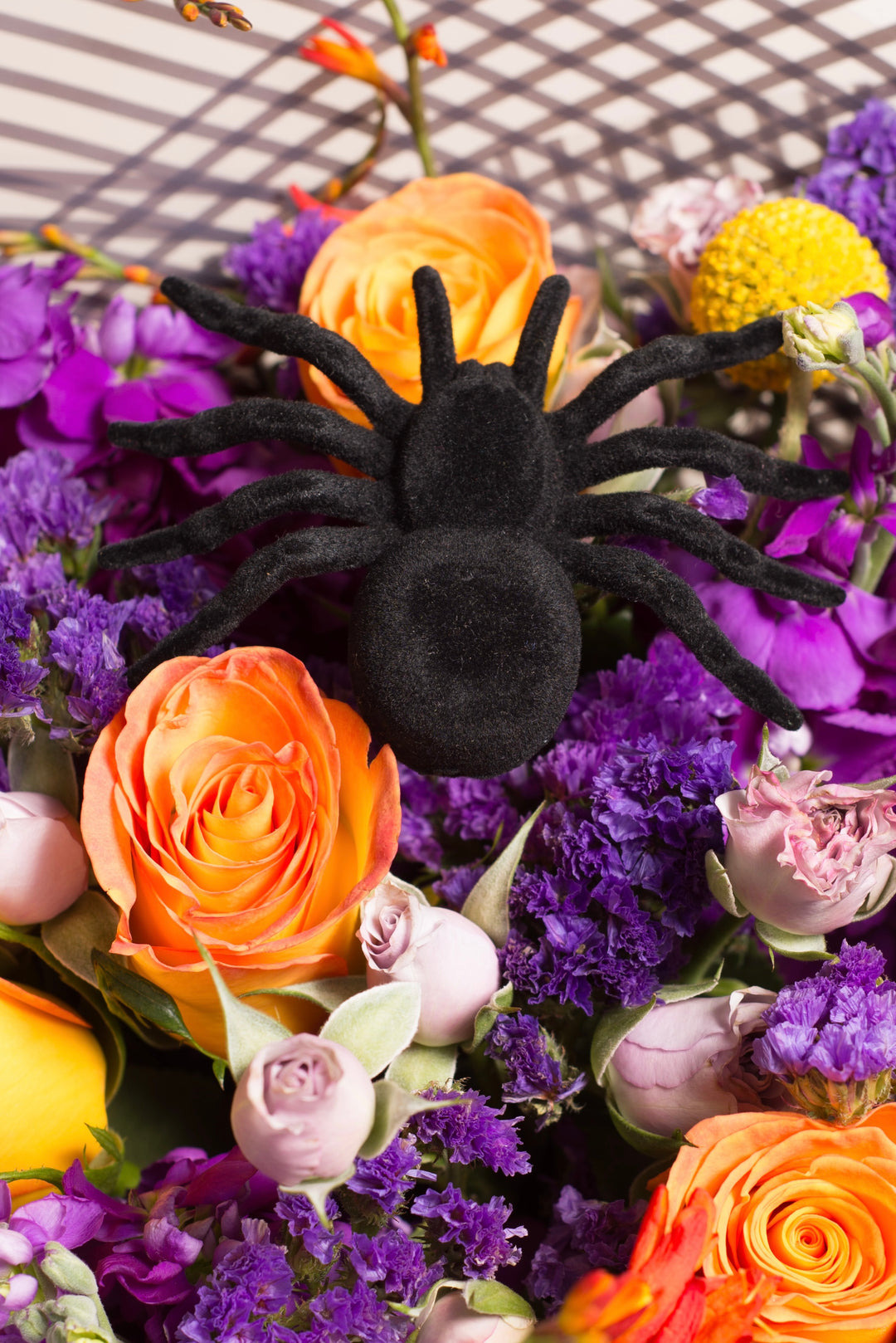 Ramo "Spider" - Halloween