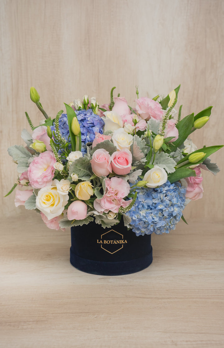 Round Box Velvet Helena - sameday