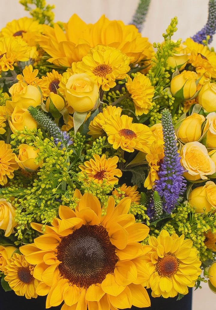 Round Box velvet Pia - sameday