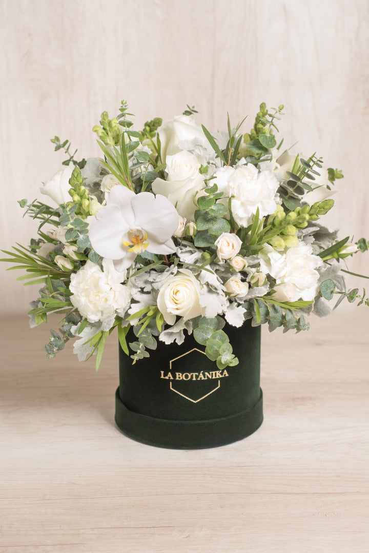 Round Box Velvet verde Mateo - sameday