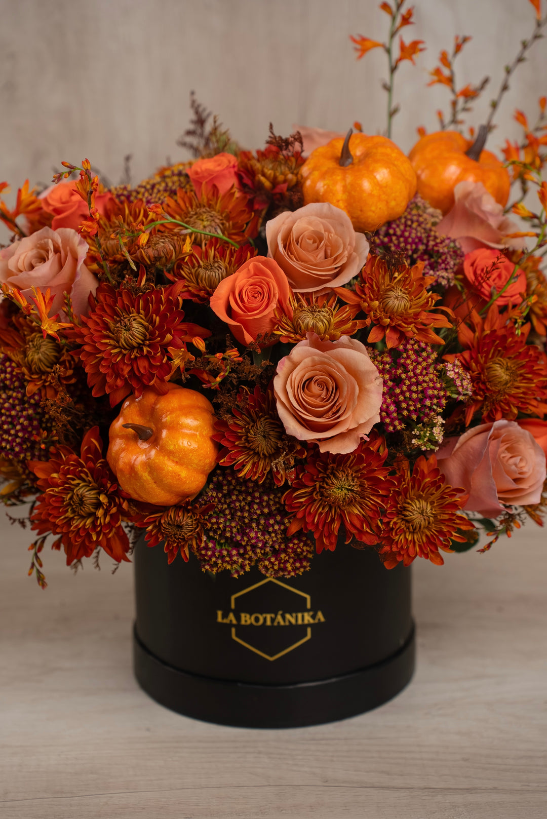 Round Box negra “Pumpkin” - Halloween