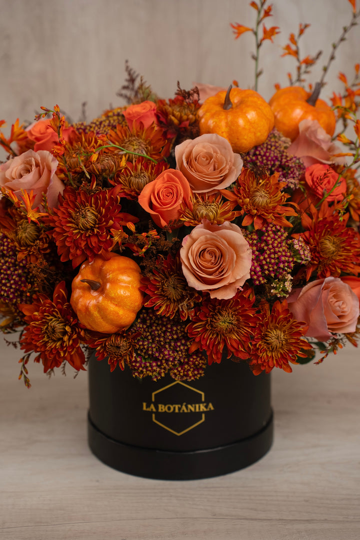 Round Box negra “Pumpkin” - Halloween