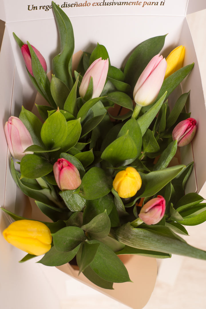 Bloom Tote 10 Tulipanes  - Mamá26