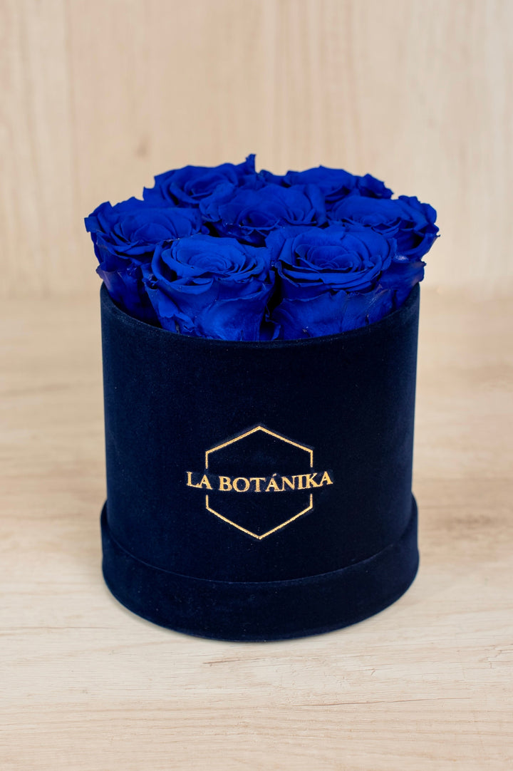 Round Box velvet azul rosas preservadas - sameday