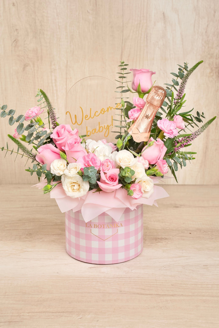 Welcome Baby Girl Vichy - Sameday