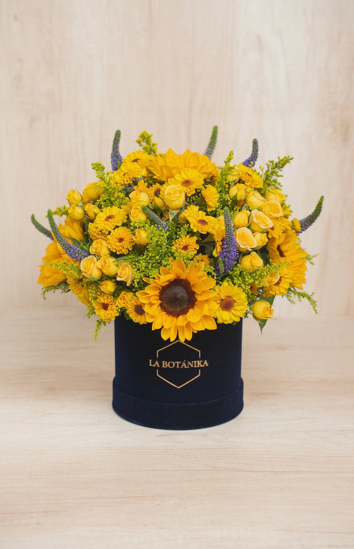 Round Box velvet Pia - sameday