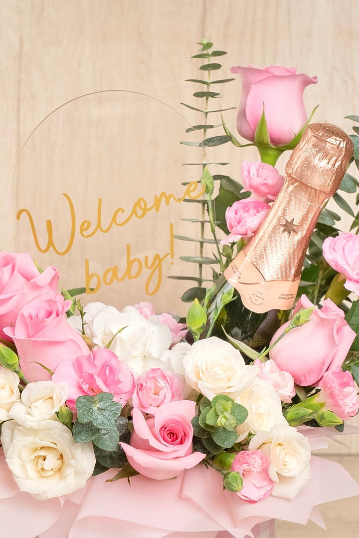 Welcome Baby Girl Vichy - Sameday