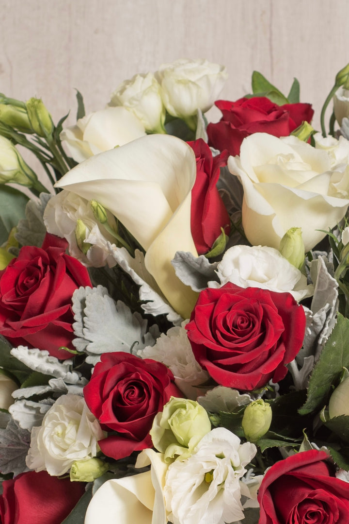 Copón Belén - Navidad