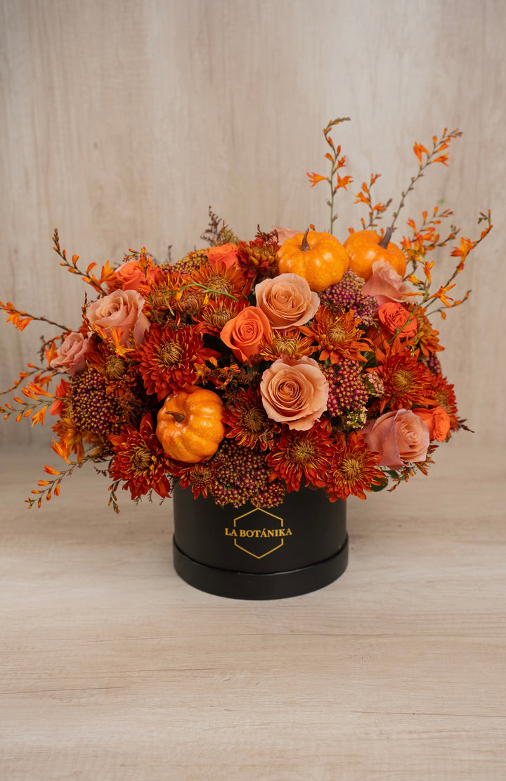 Round Box negra “Pumpkin” - Halloween