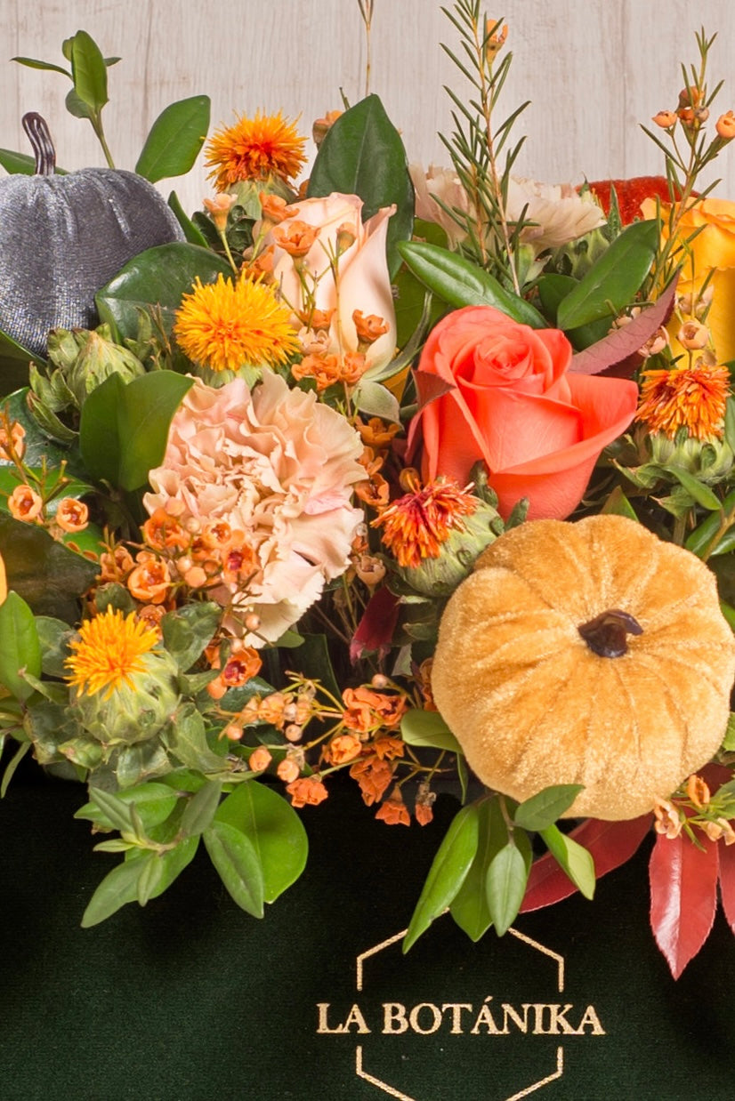 Centro de mesa “Pumpkin garden” - Halloween - Sameday