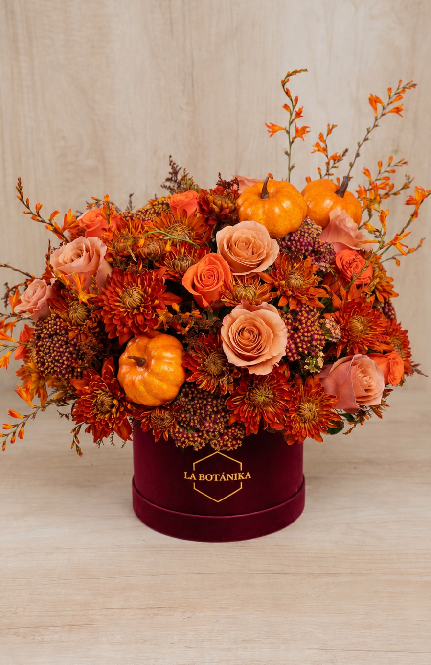 Round Box velvet guinda “Pumpkin” - Halloween - sameday