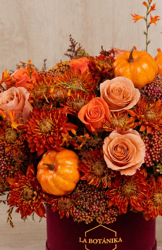 Round Box velvet guinda “Pumpkin” - Halloween - sameday
