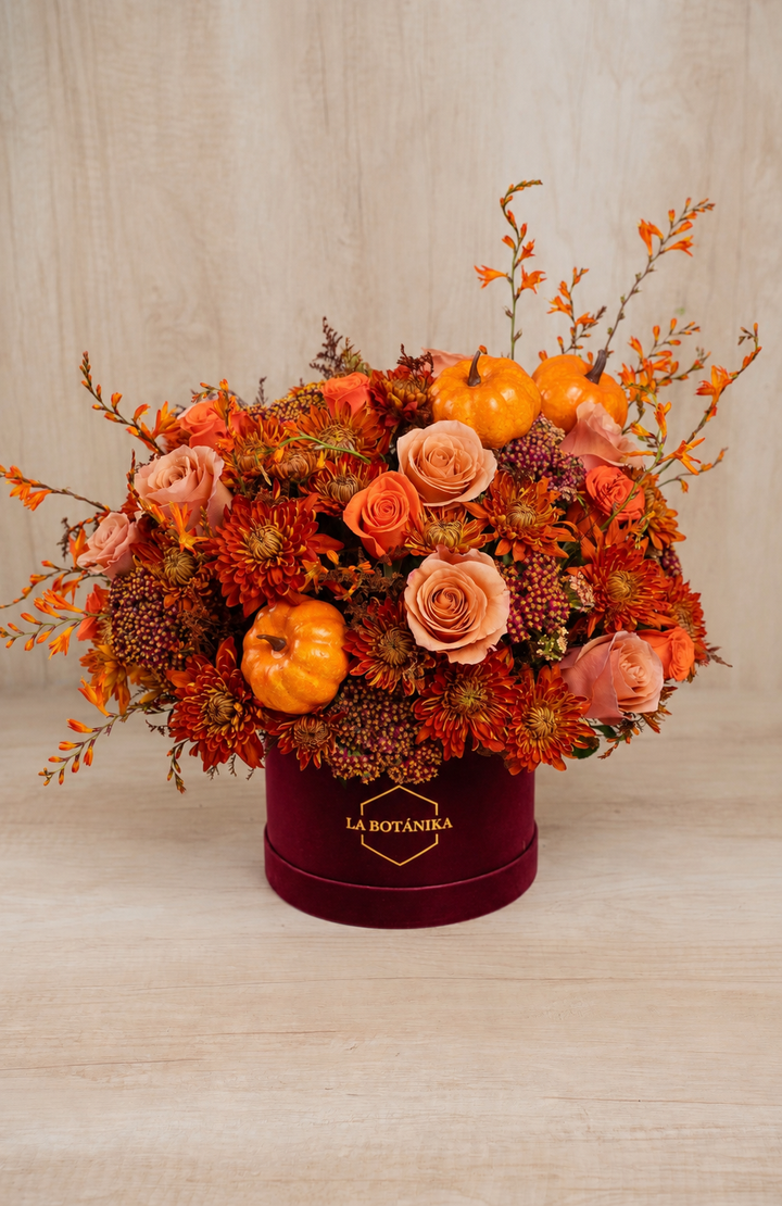 Round Box velvet guinda “Pumpkin” - Halloween