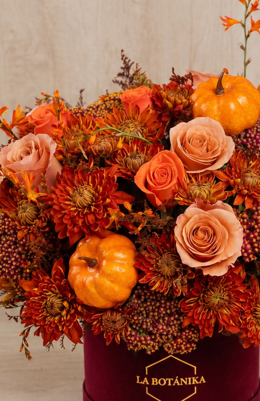 Round Box velvet guinda “Pumpkin” - Halloween