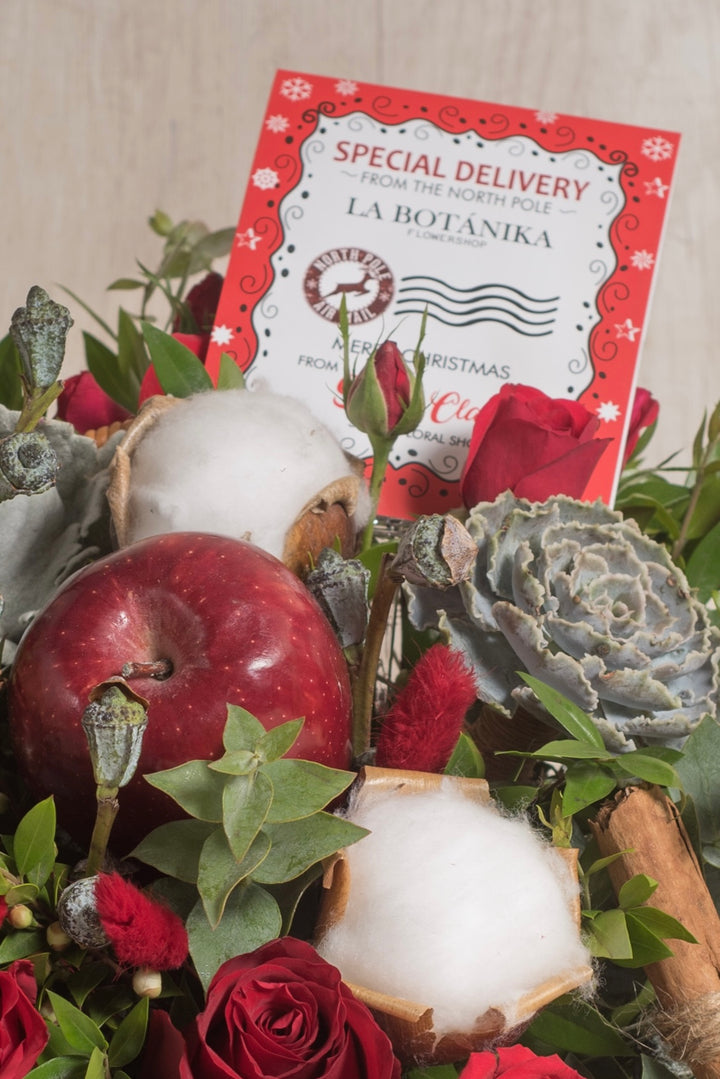 Canasta “Apples” - Navidad