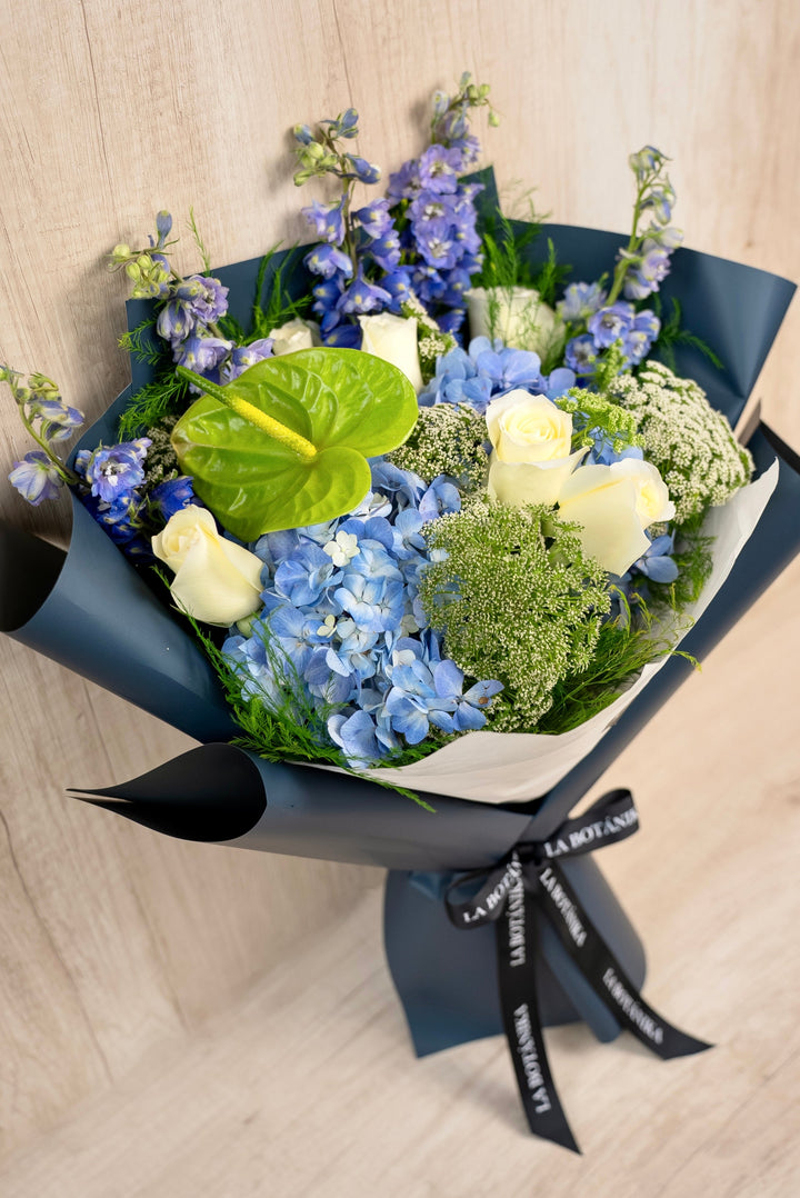 Ramo Lyssa - sameday