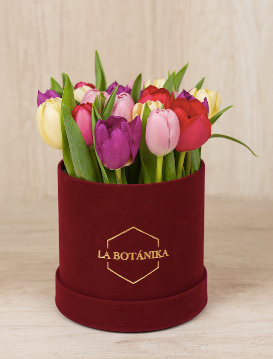 Round Box Velvet Mix 20 Tulipanes