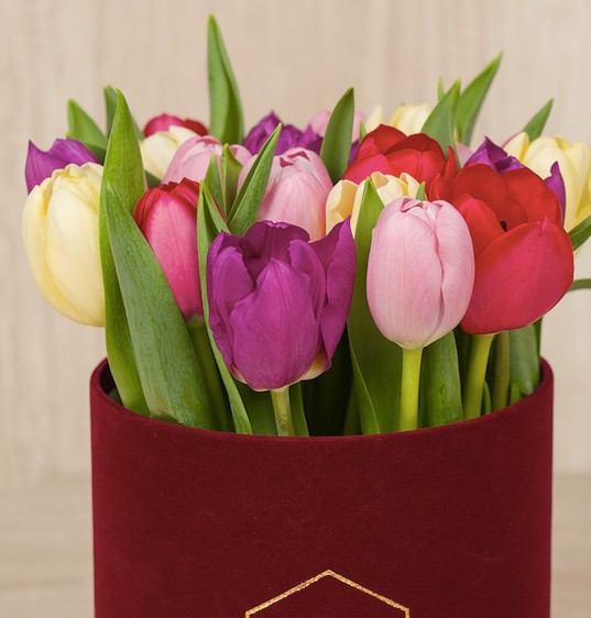 Round Box Velvet Mix 20 Tulipanes