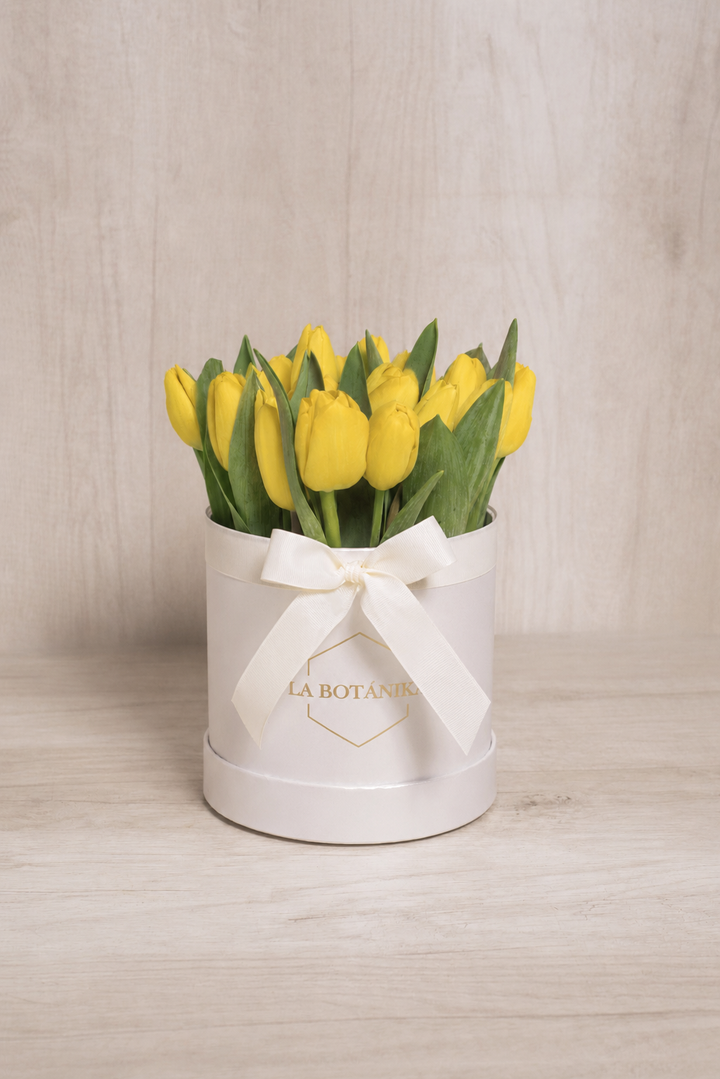 Round Box 20 Tulipanes Amarillos - Flores amarillas