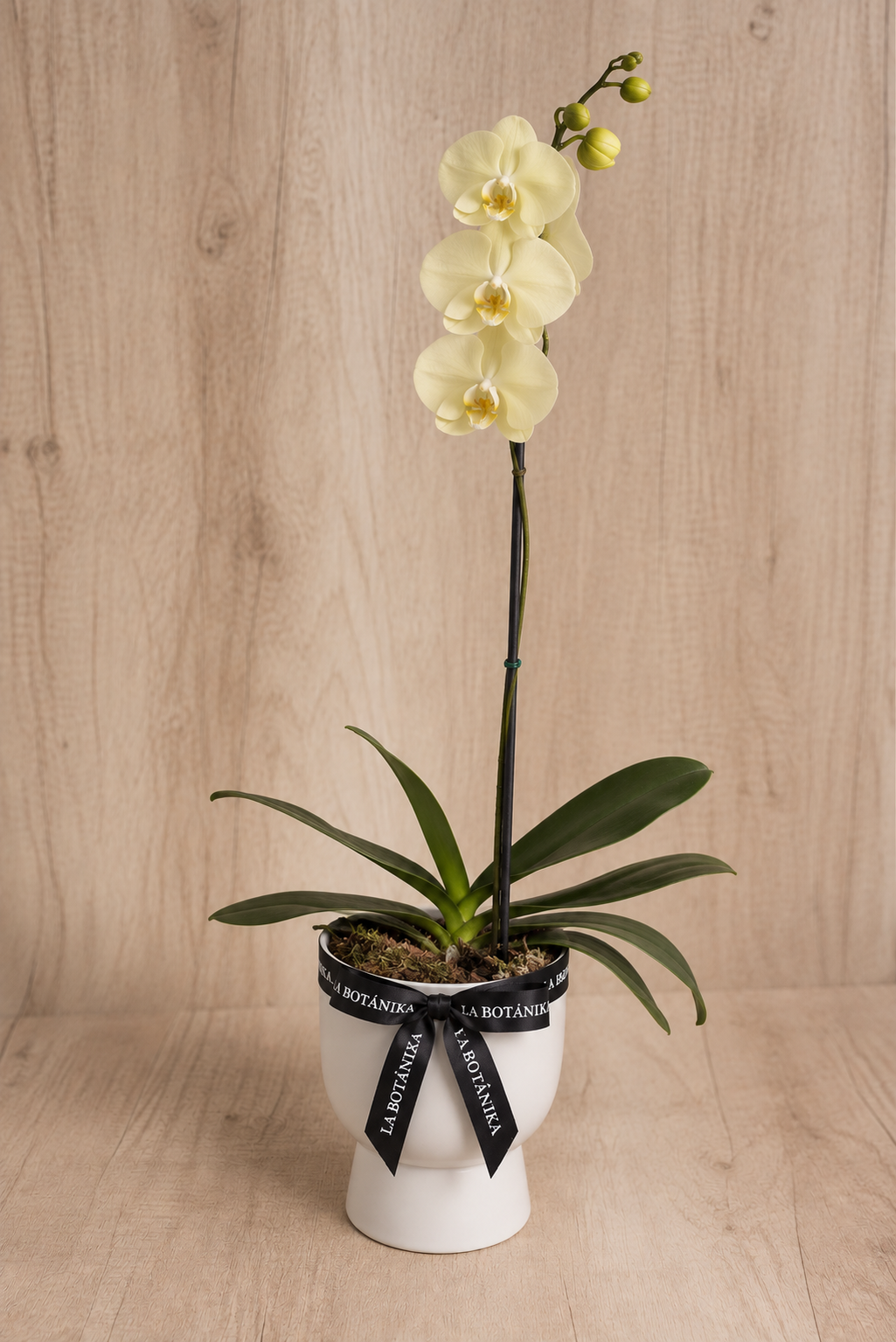 Copón Orquídea Amarilla - Flores amarillas