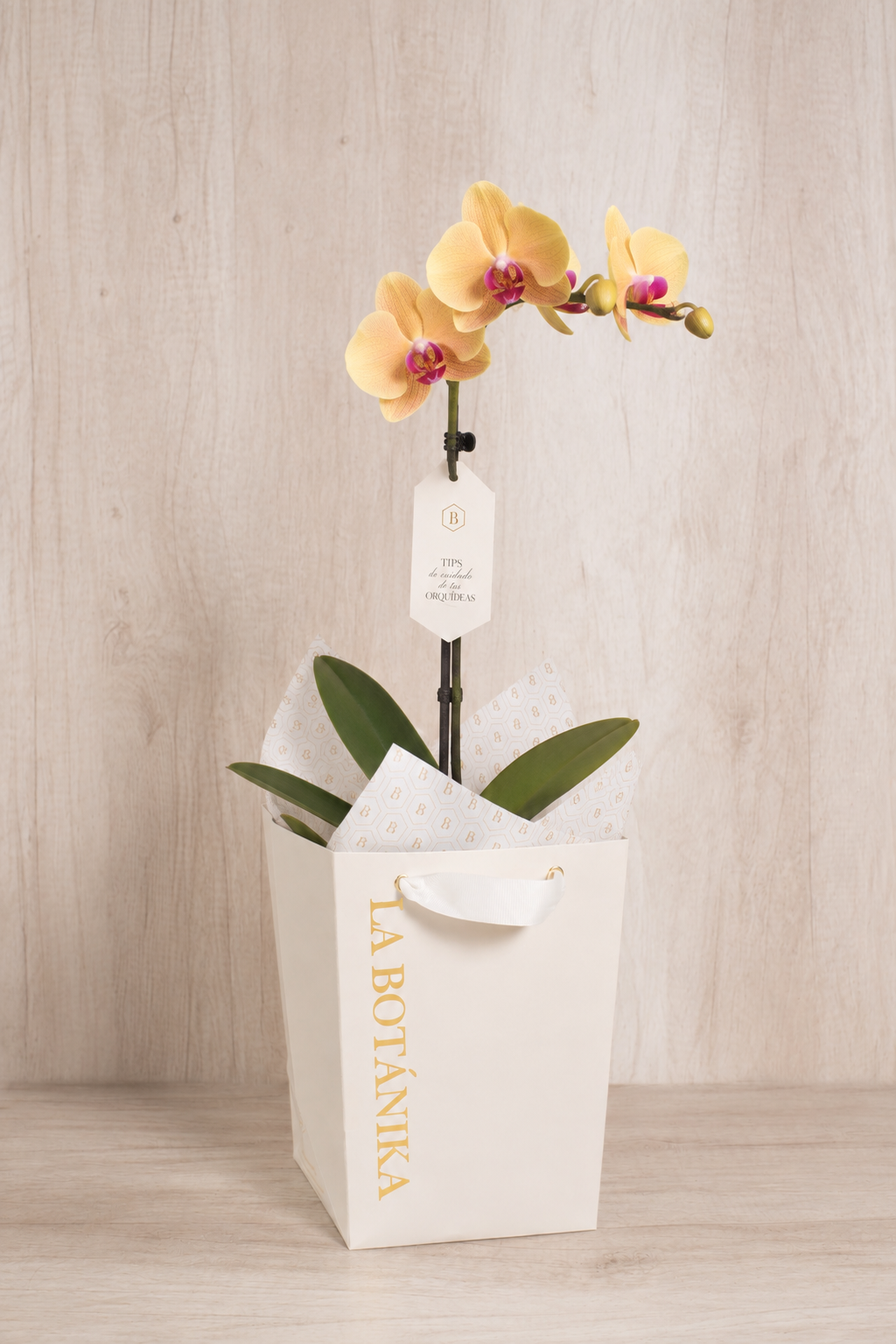 Wood Box Orquídea Amarilla - Flores amarillas