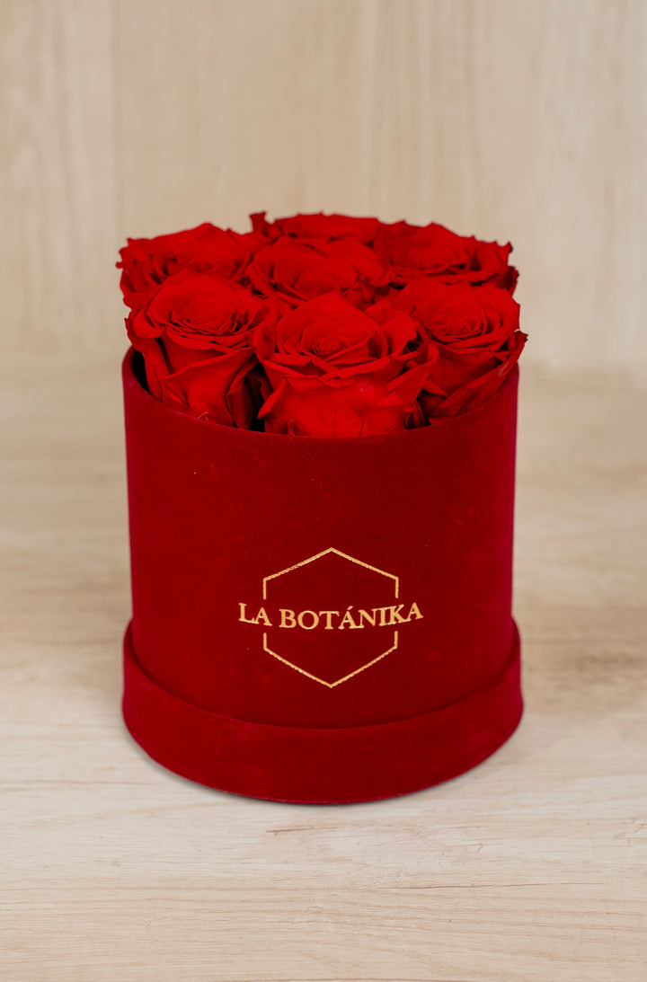 Round Box velvet guinda rosas preservadas