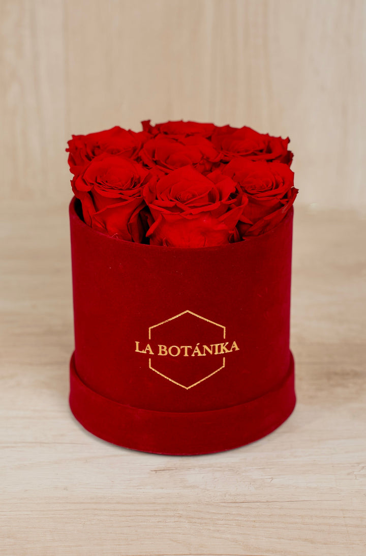 Round Box velvet guinda rosas preservadas - Sameday