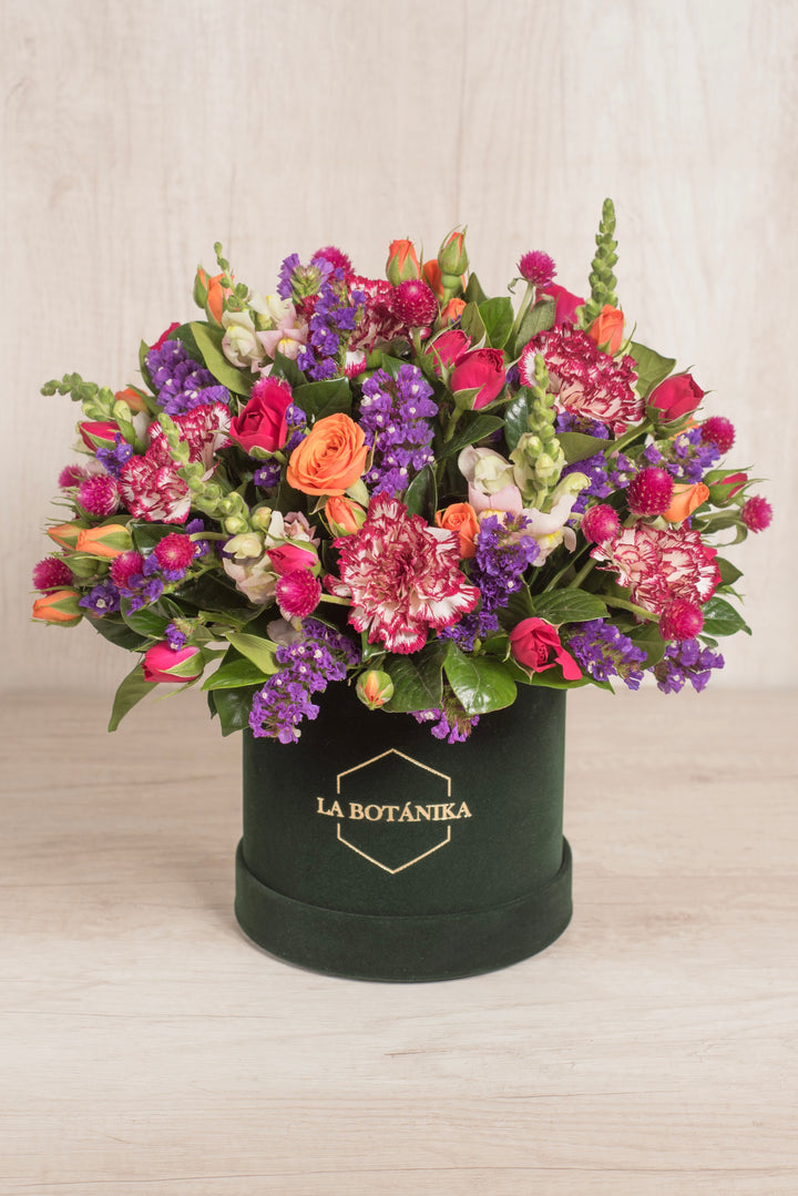 Round box velvet verde Teresa - sameday