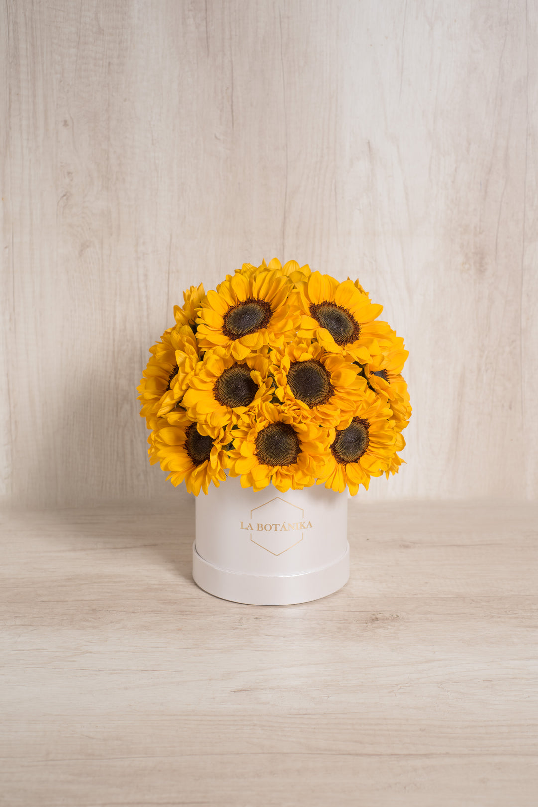 Round Box Sol - Sameday