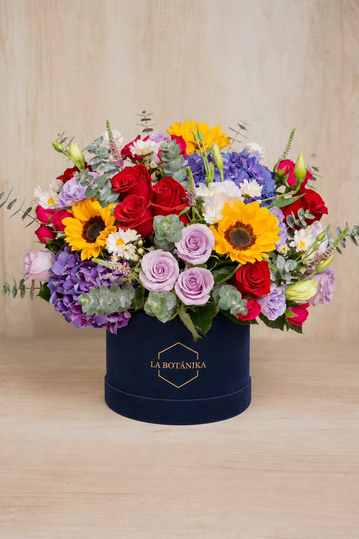 Round Box velvet azul Irene