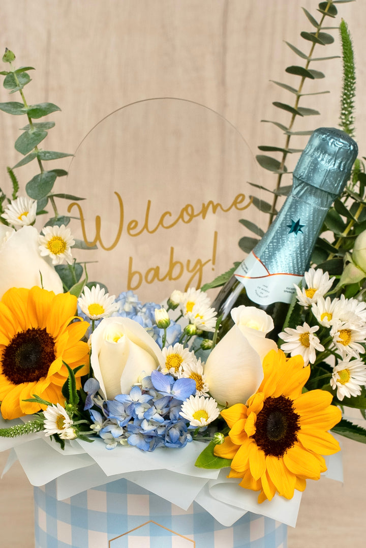 Welcome Baby Boy Vichy