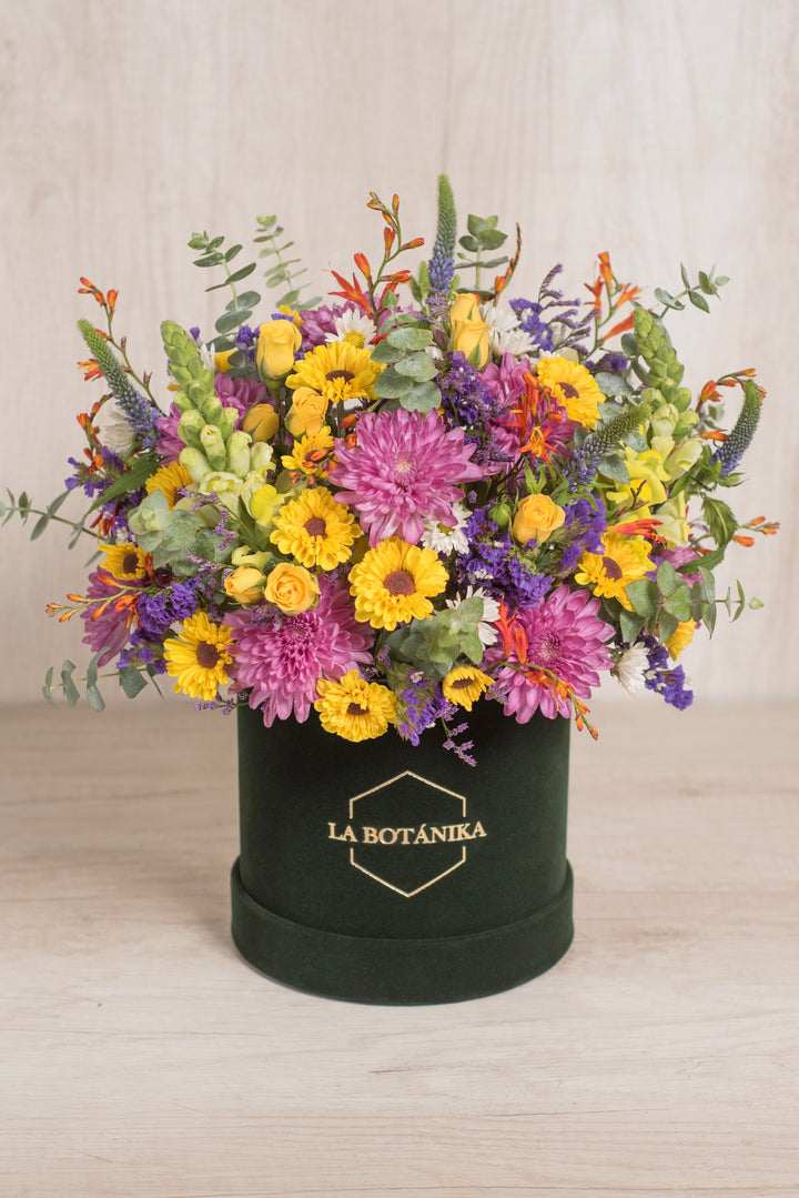 Round box velvet verde Flora - sameday