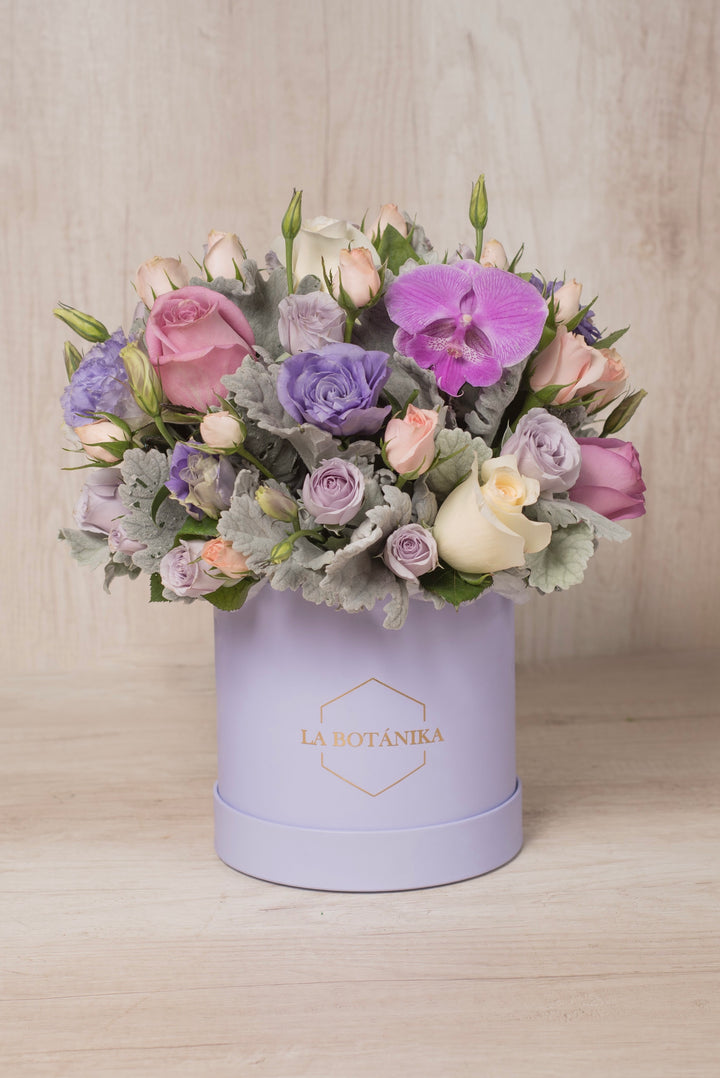 Round Box Lila Stefania