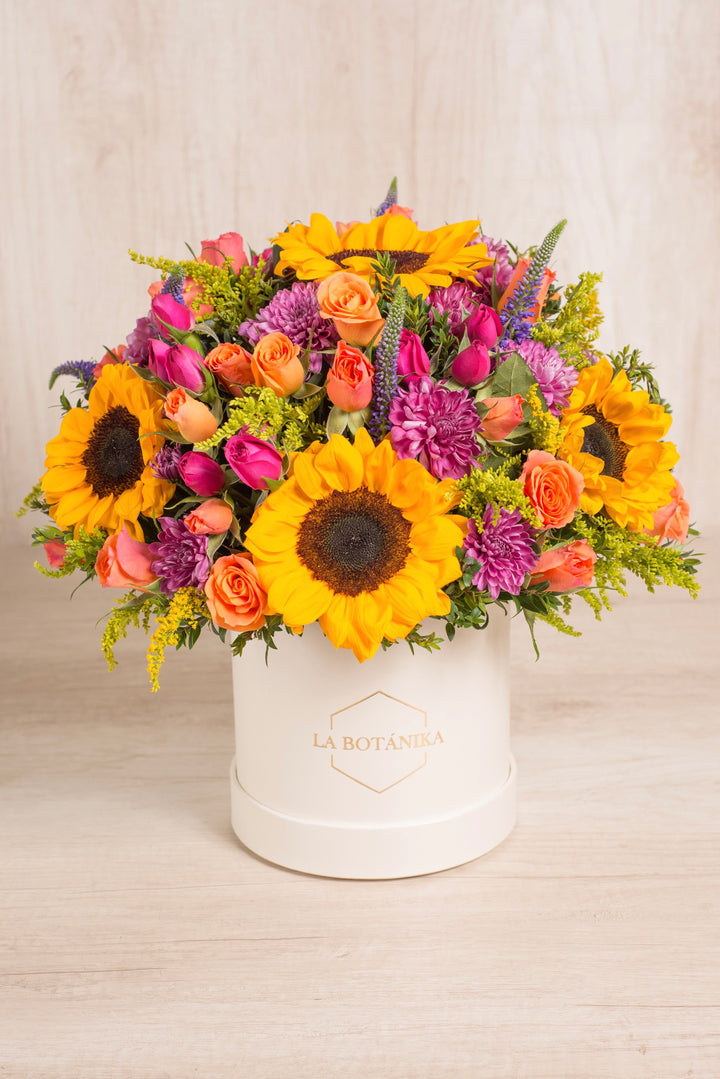 Round Box Blanca Camila - Sameday