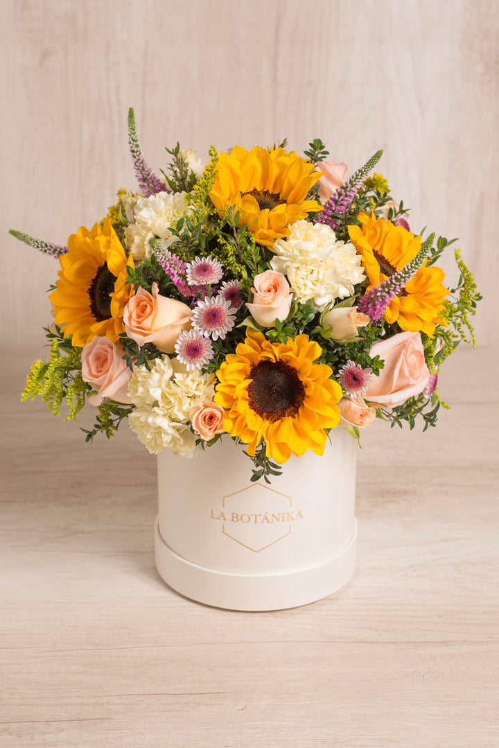 Round Box Nabila - Sameday