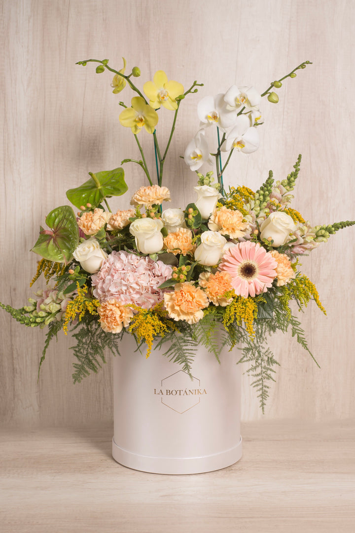 Splendid Box Gardenia