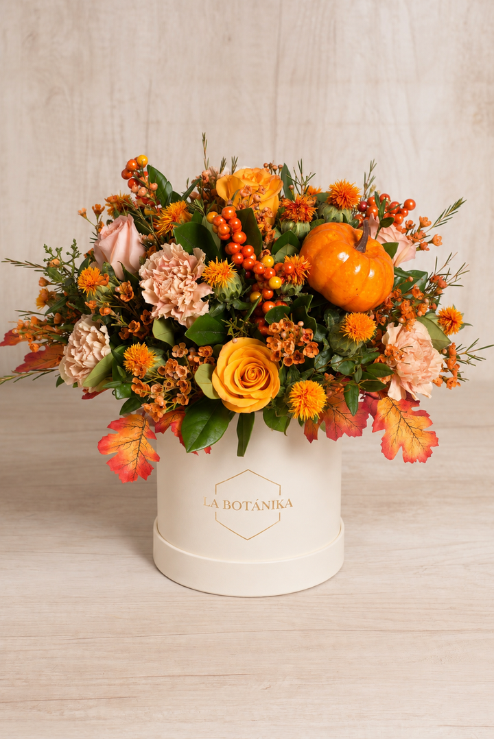 Round Box "Pumpkin garden" - Halloween