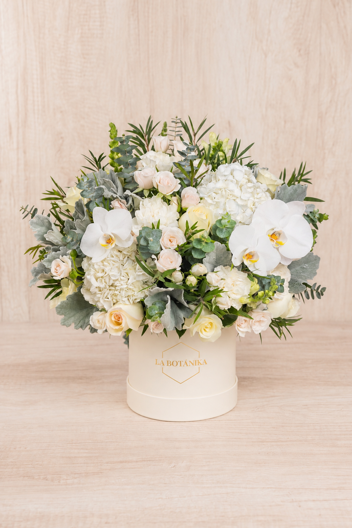 Round Box ivory Mateo