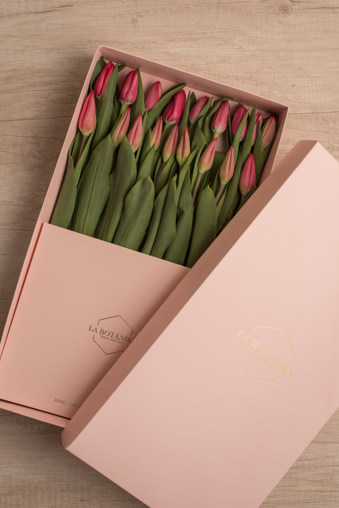 Classic Box 18 Tulipanes